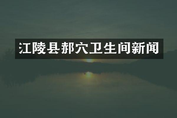 江陵县郝穴卫生间新闻