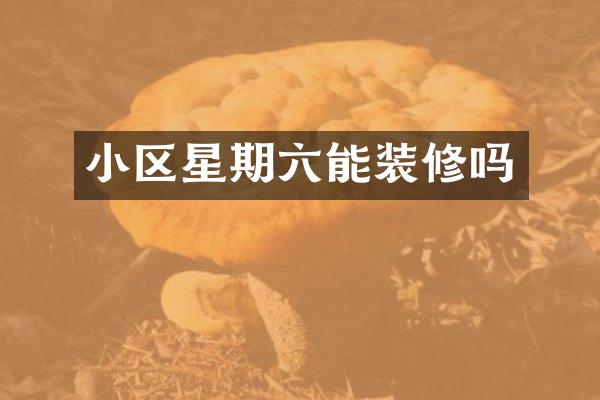 小区星期六能装修吗