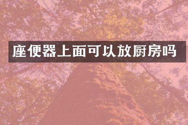 座便器上面可以放厨房吗
