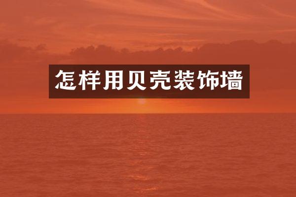 怎样用贝壳装饰墙