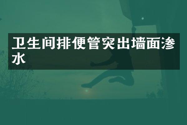 卫生间排便管突出墙面渗水