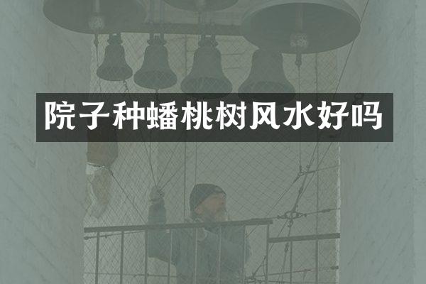 院子种蟠桃树风水好吗