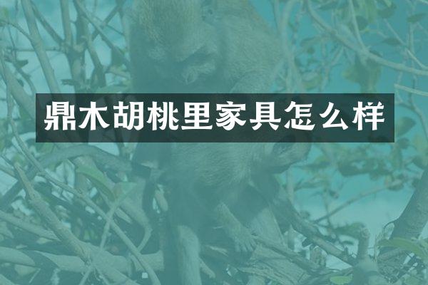 鼎木胡桃里家具怎么样