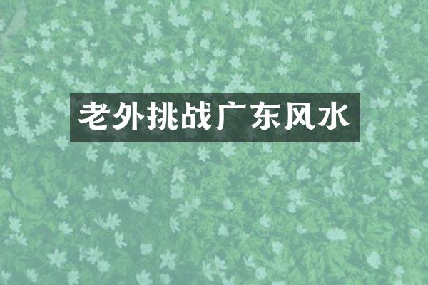 老外挑战广东风水