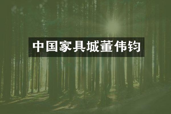中国家具城董伟钧