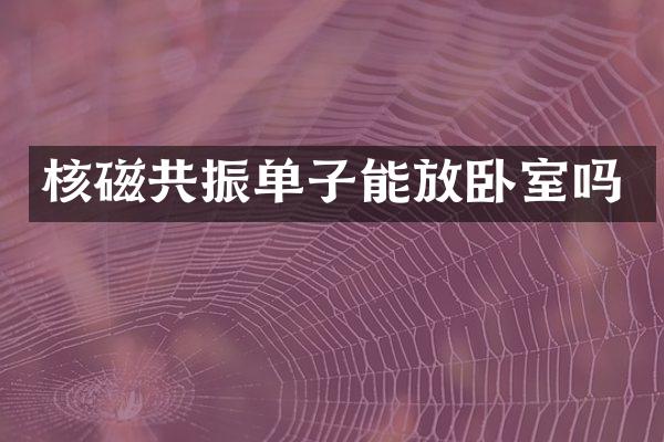 核磁共振单子能放卧室吗