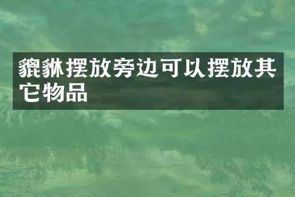 貔貅摆放旁边可以摆放其它物品