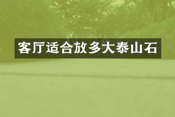 客厅适合放多大泰山石