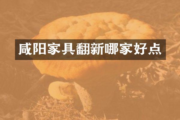 咸阳家具翻新哪家好点