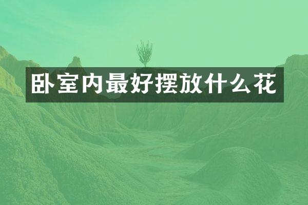 卧室内最好摆放什么花