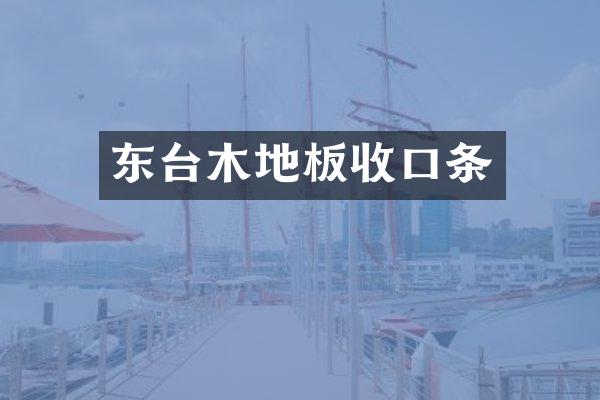 东台木地板收口条