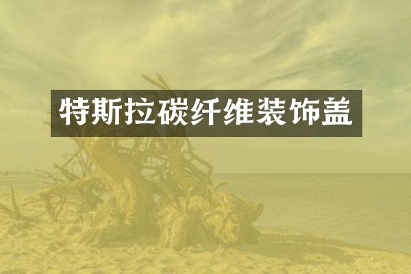 特斯拉碳纤维装饰盖