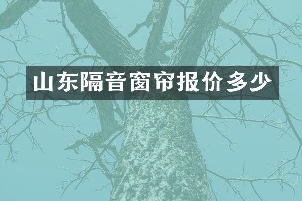 山东隔音窗帘报价多少