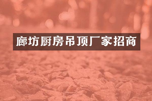 廊坊厨房吊顶厂家招商