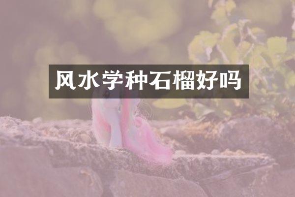 风水学种石榴好吗