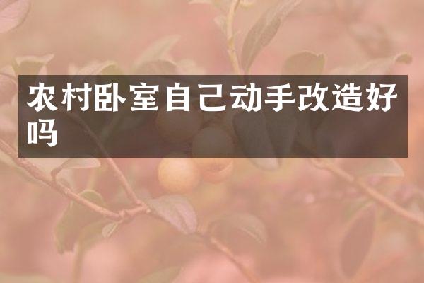 农村卧室自己动手改造好吗