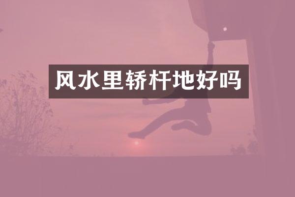 风水里轿杆地好吗