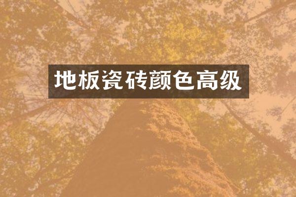 地板瓷砖颜色高级