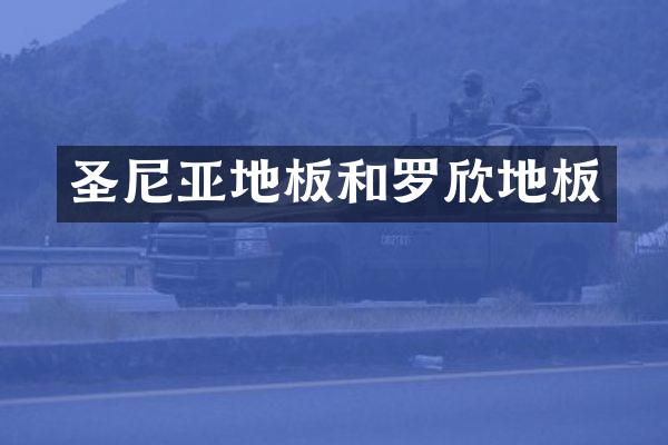 圣尼亚地板和罗欣地板