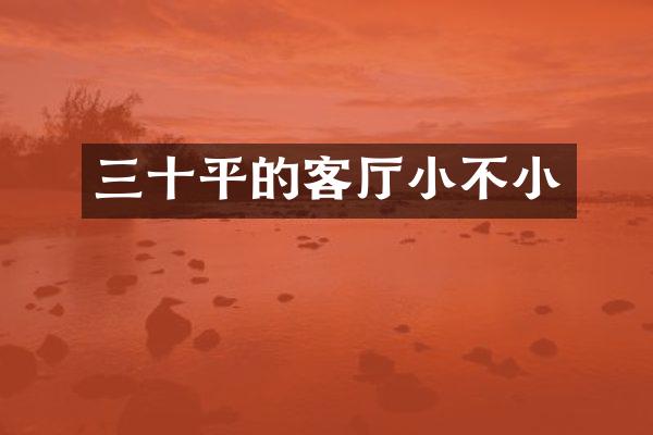 三十平的客厅小不小