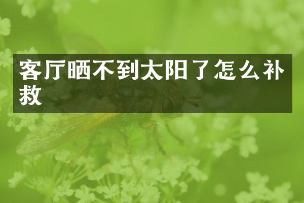 客厅晒不到太阳了怎么补救