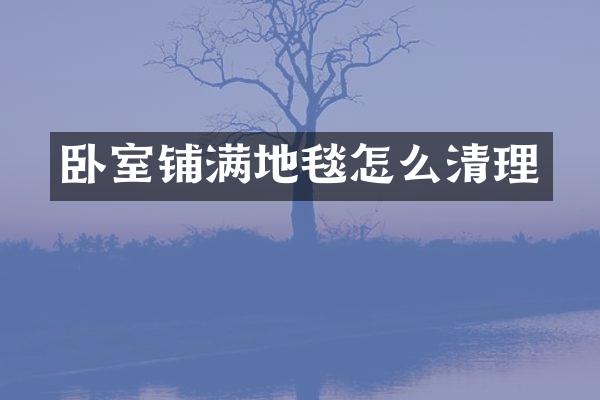 卧室铺满地毯怎么清理