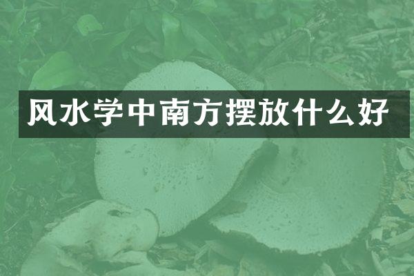 风水学中南方摆放什么好