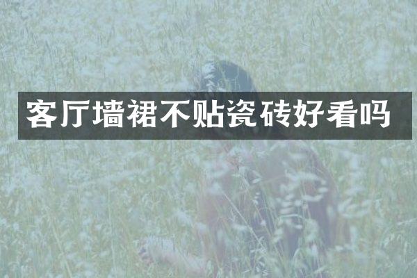 客厅墙裙不贴瓷砖好看吗