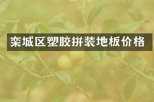 栾城区塑胶拼装地板价格