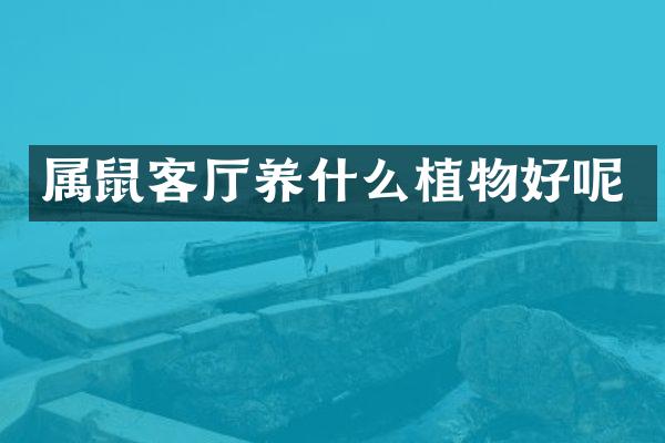 属鼠客厅养什么植物好呢