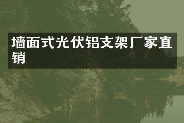 墙面式光伏铝支架厂家直销