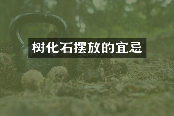 树化石摆放的宜忌