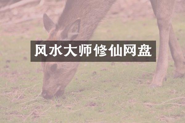 风水大师修仙网盘