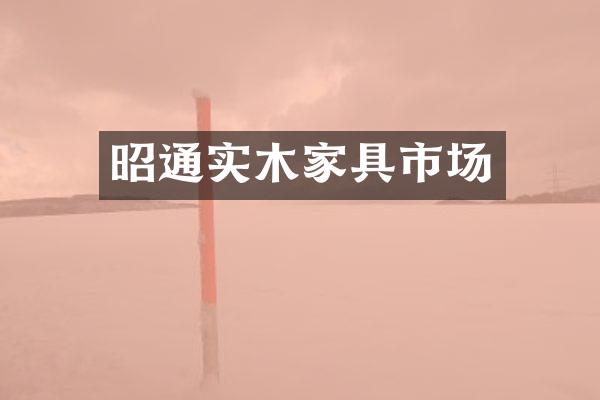 昭通实木家具市场
