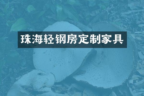 珠海轻钢房定制家具
