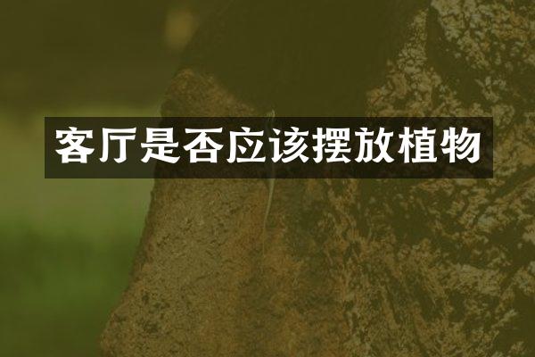 客厅是否应该摆放植物