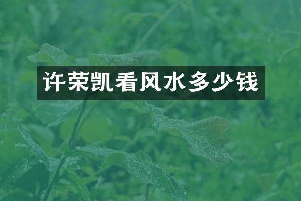 许荣凯看风水多少钱