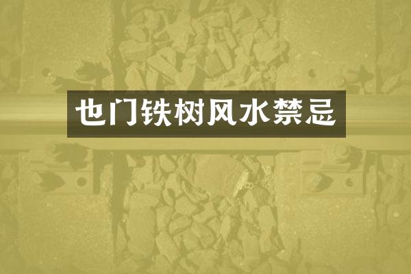 也门铁树风水禁忌