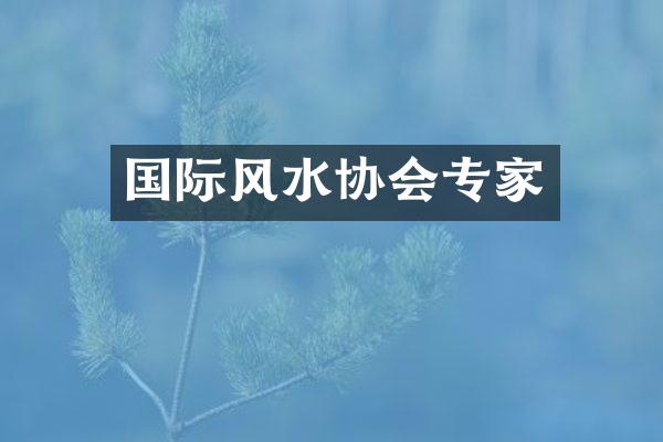 国际风水协会专家