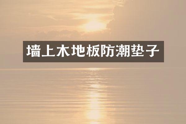 墙上木地板防潮垫子