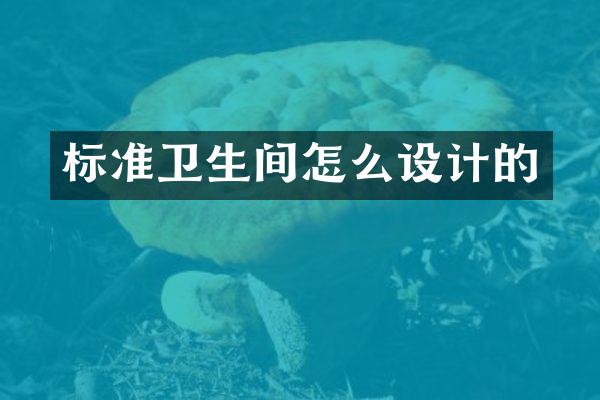 标准卫生间怎么设计的