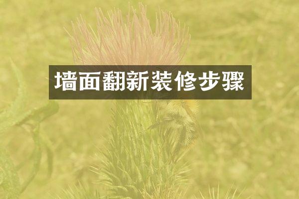 墙面翻新装修步骤