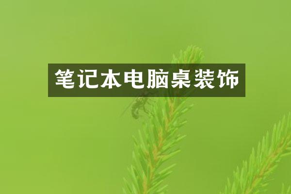 笔记本电脑桌装饰