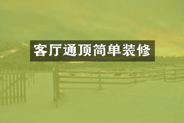 客厅通顶简单装修