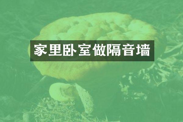 家里卧室做隔音墙