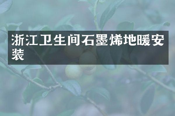 浙江卫生间石墨烯地暖安装