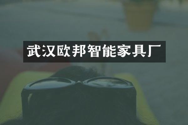 武汉欧邦智能家具厂