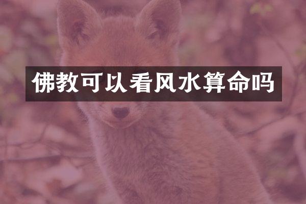 佛教可以看风水算命吗