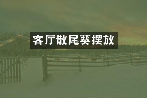 客厅散尾葵摆放