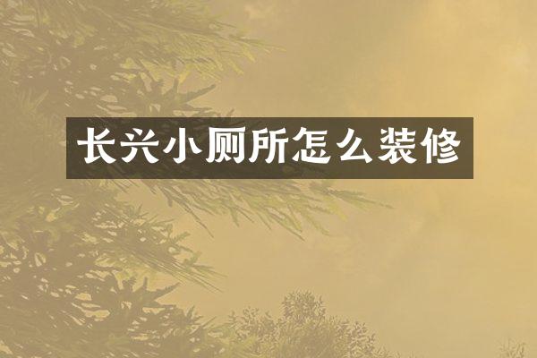 长兴小厕所怎么装修